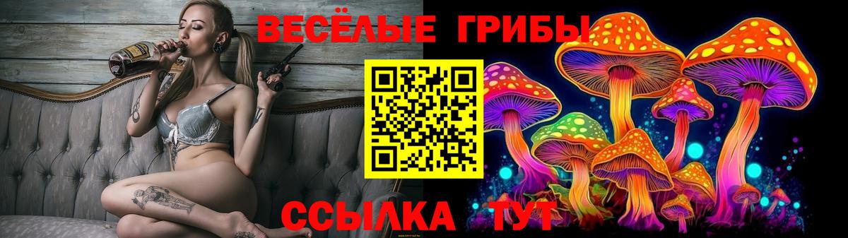 Новый Уренгой  Псилоцибиновые грибы Magic Shrooms  Вход с VPN  Псилоцибиновые грибы Psilocybe 